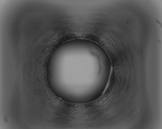 X0000091941249200709191413