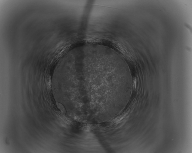 X0000091941251200709191413