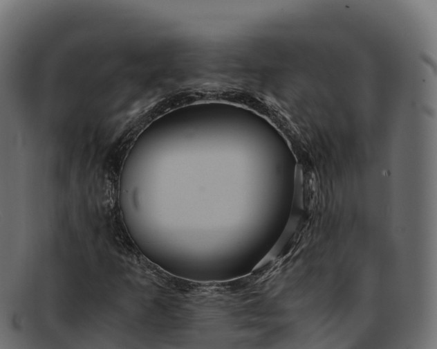 X0000091941253200709191413