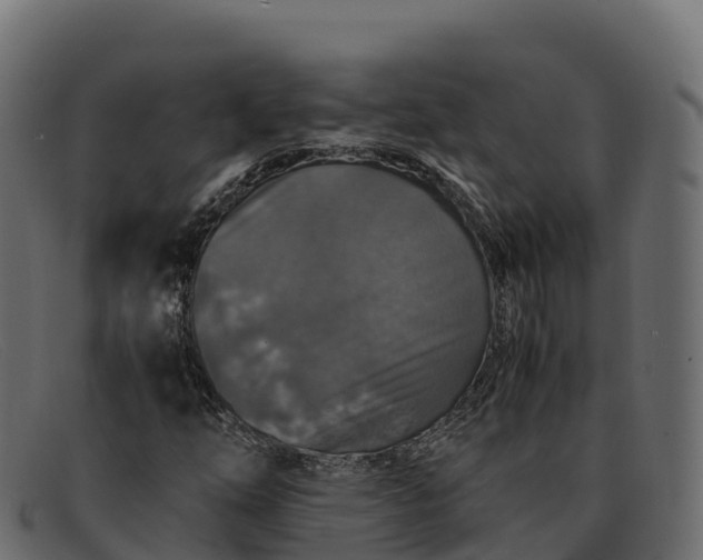 X0000091941254200709191413