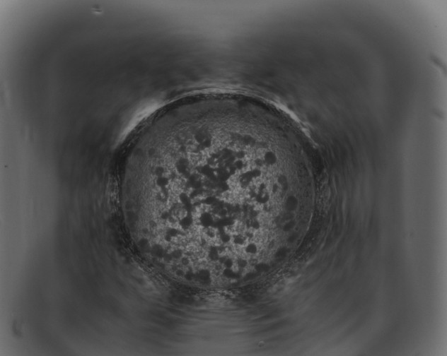 X0000091941255200709191413