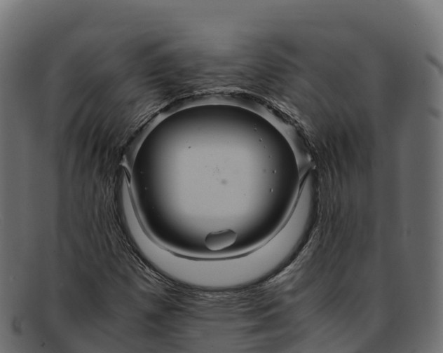 X0000091941257200709191413