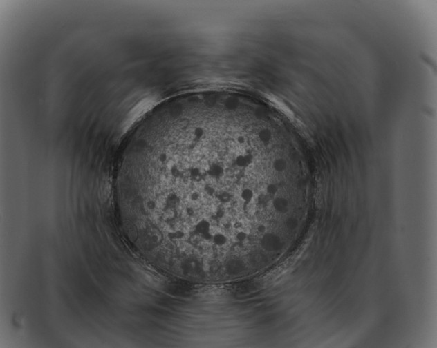 X0000091941259200709191413