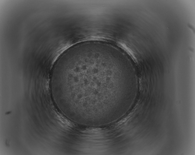 X0000091941260200709191413