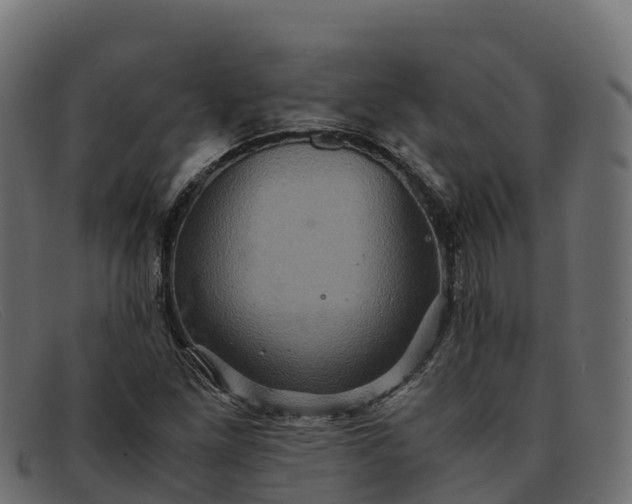 X0000091941261200709191413