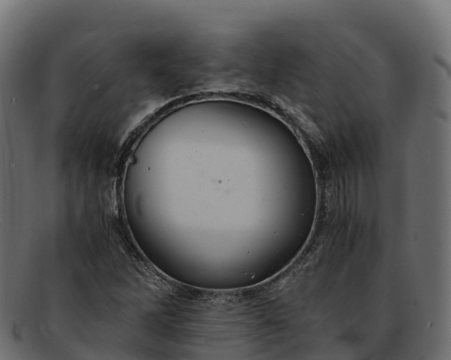 X0000091941262200709191413