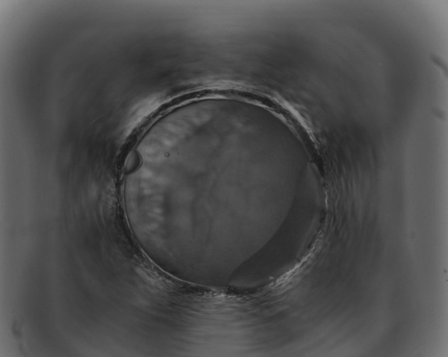 X0000091941263200709191413