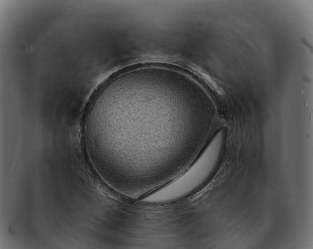 X0000091941264200709191413