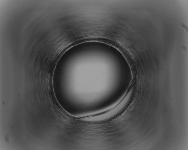 X0000091941265200709191413