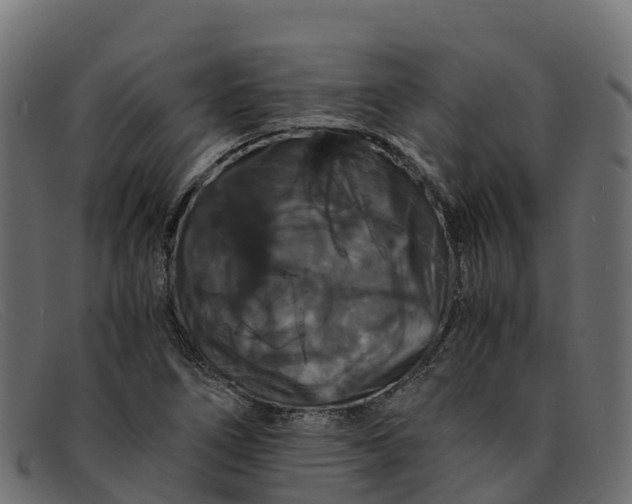 X0000091941266200709191413