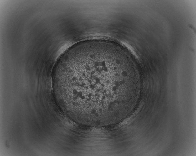 X0000091941267200709191413