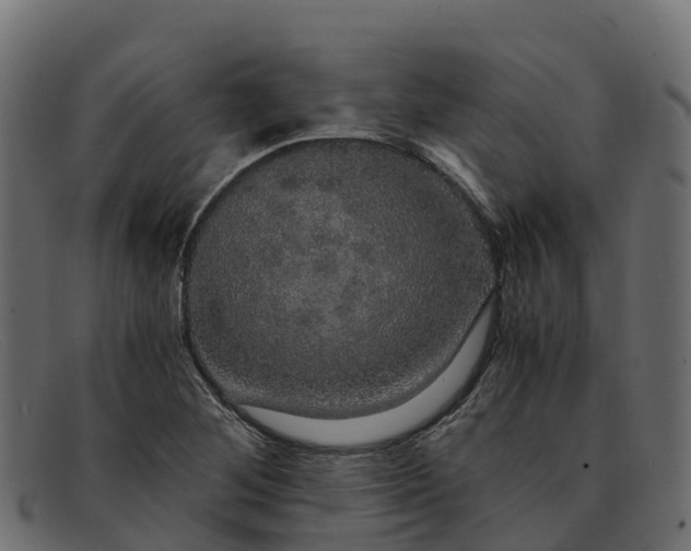 X0000091941268200709191413