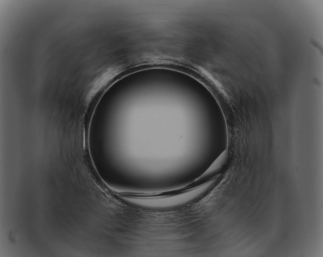 X0000091941269200709191413