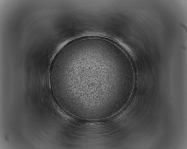 X0000091941272200709191413