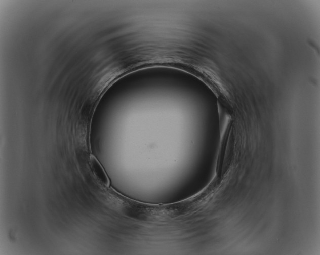 X0000091941273200709191413