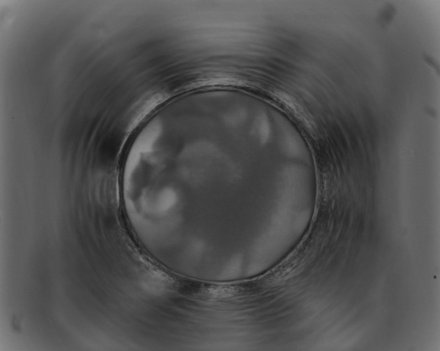 X0000091941274200709191413