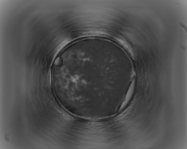 X0000091941275200709191413