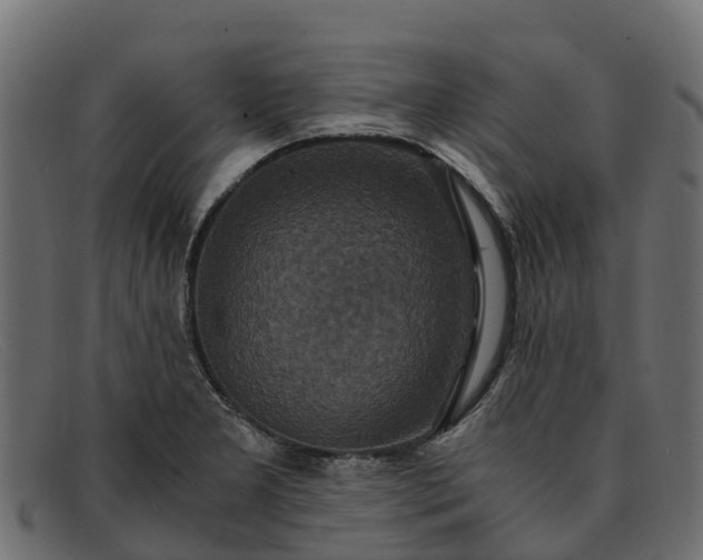 X0000091941277200709191413