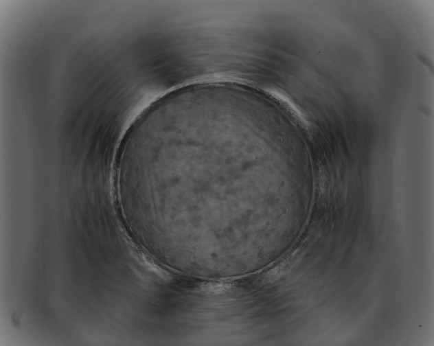 X0000091941278200709191413