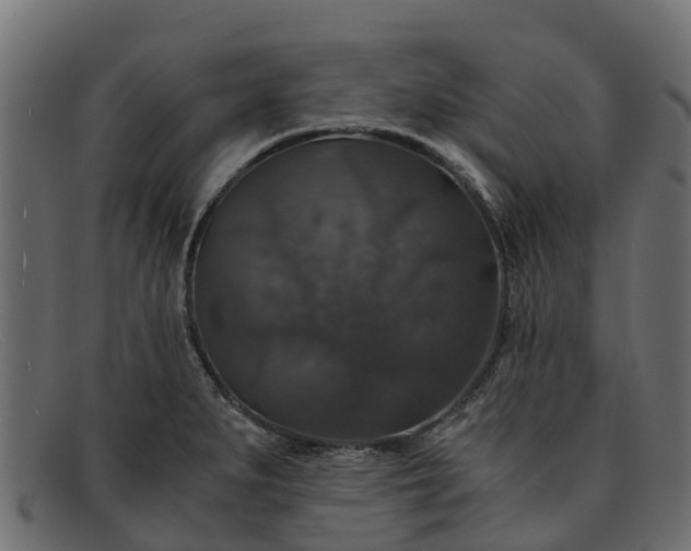 X0000091941279200709191413