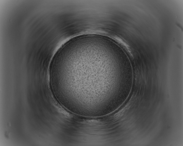 X0000091941280200709191413