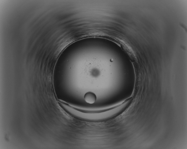 X0000091941281200709191412