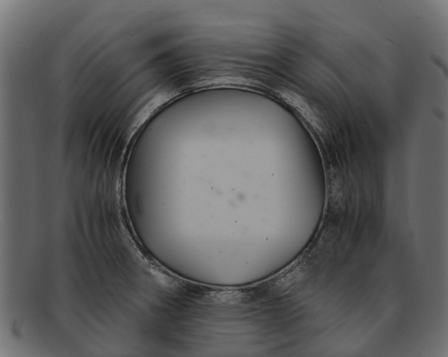 X0000091941282200709191412