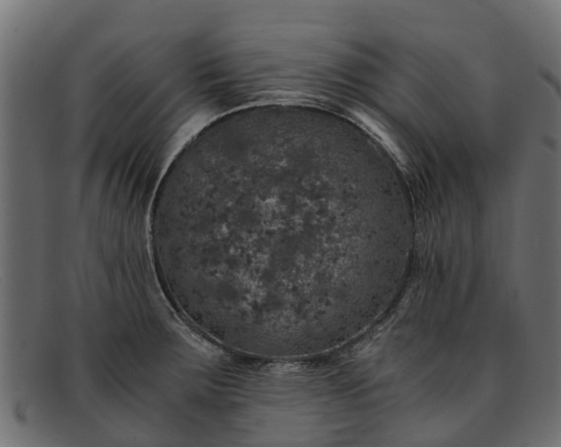 X0000091941283200709191412