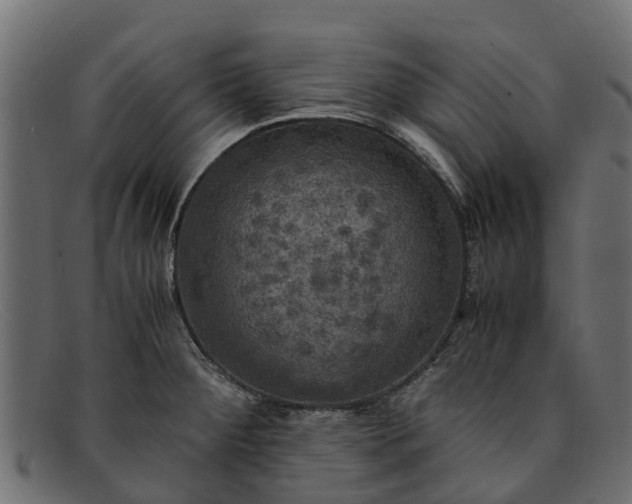 X0000091941284200709191412