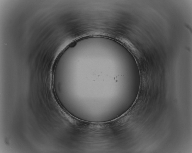 X0000091941286200709191412