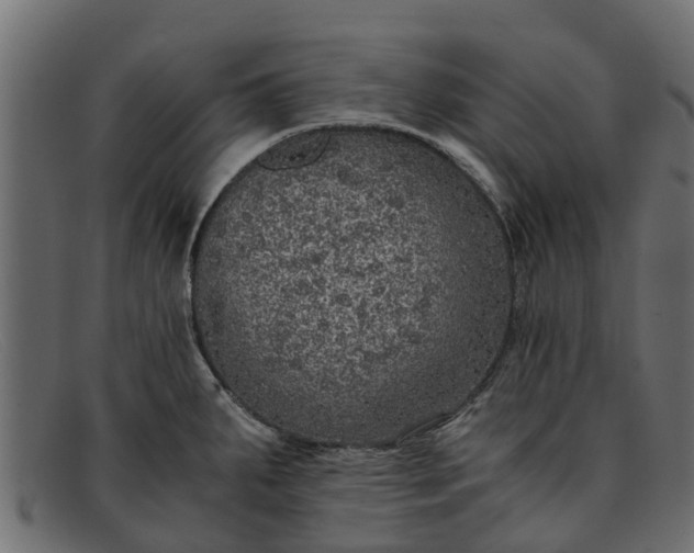 X0000091941287200709191412