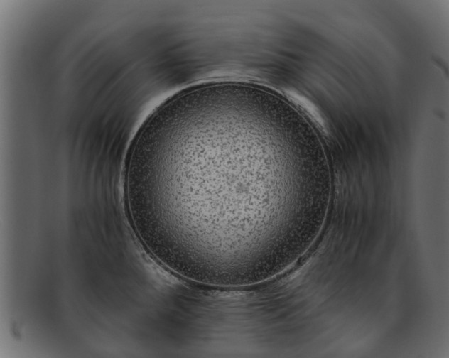 X0000091941288200709191412