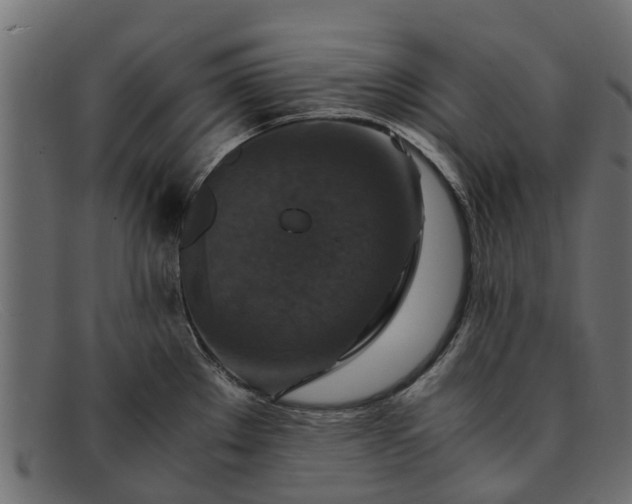 X0000091941289200709191412