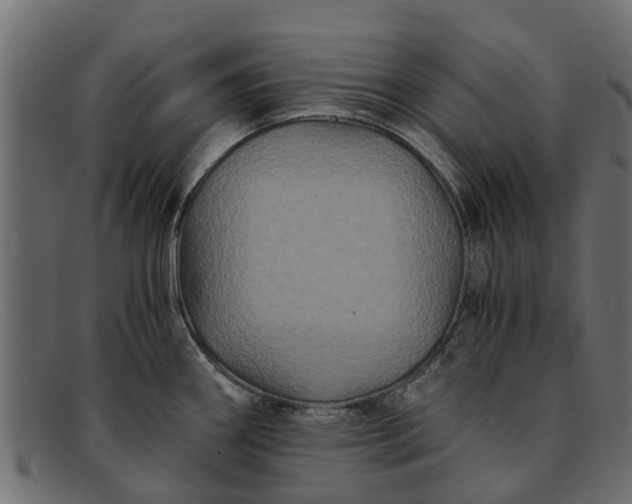 X0000091941290200709191412