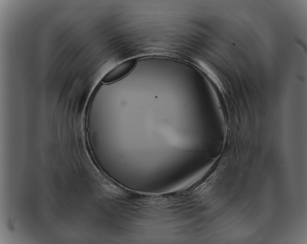 X0000091941291200709191412