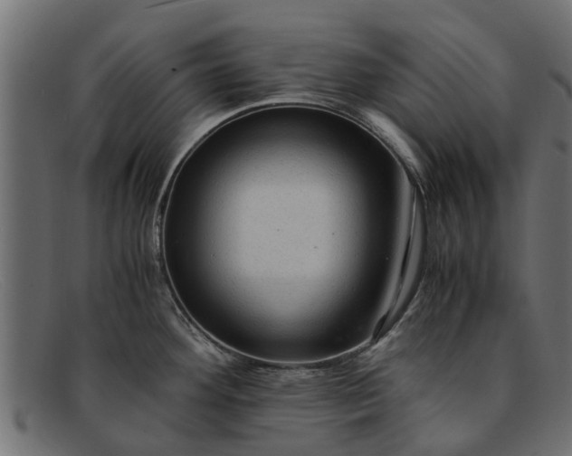 X0000091941292200709191412