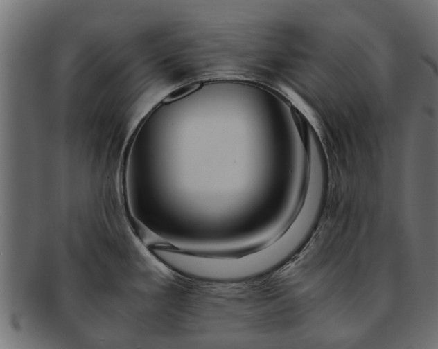 X0000091941293200709191412