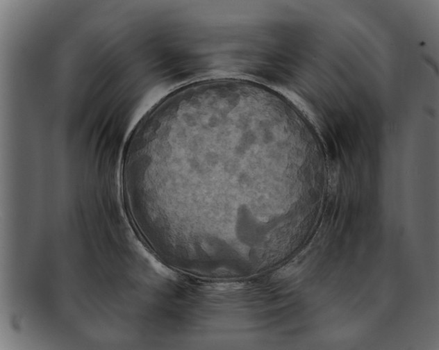 X0000091941294200709191412