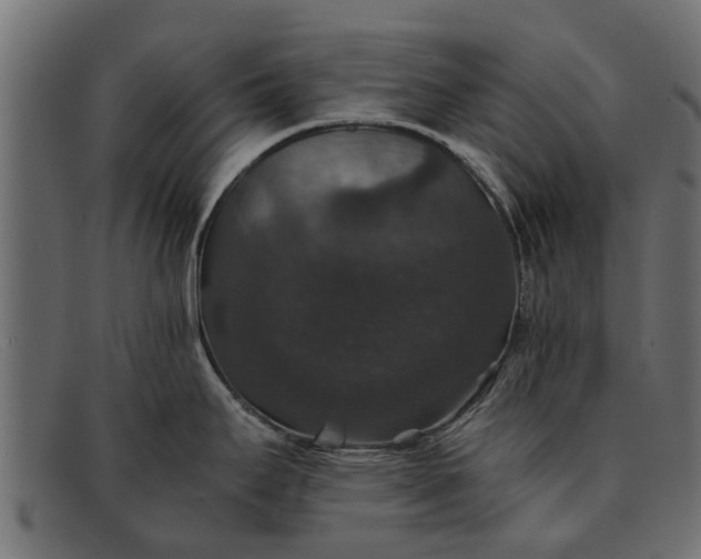 X0000091941295200709191412