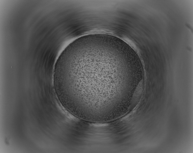 X0000091941296200709191412