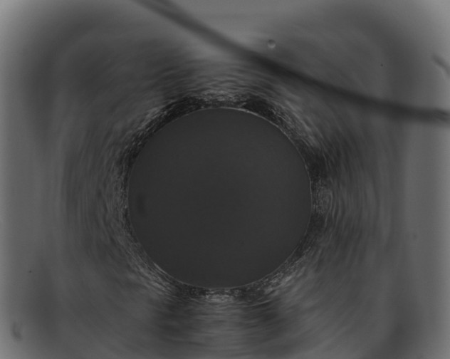 X0000091941297200709191412