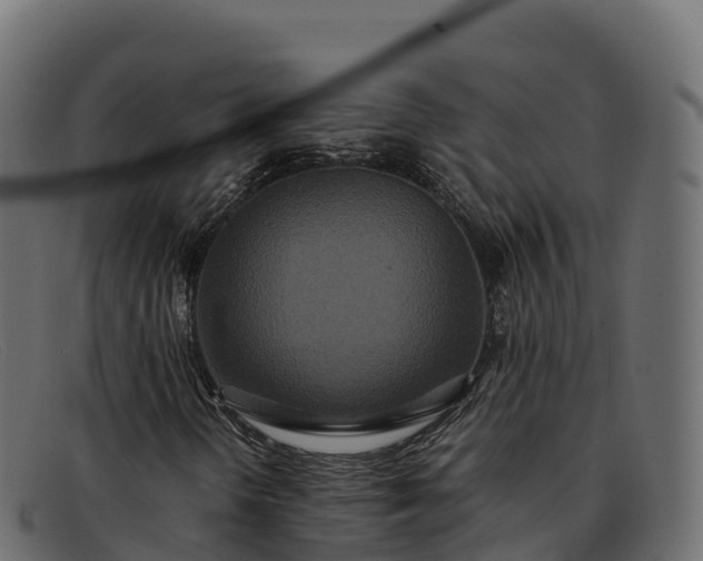 X0000091941298200709191412