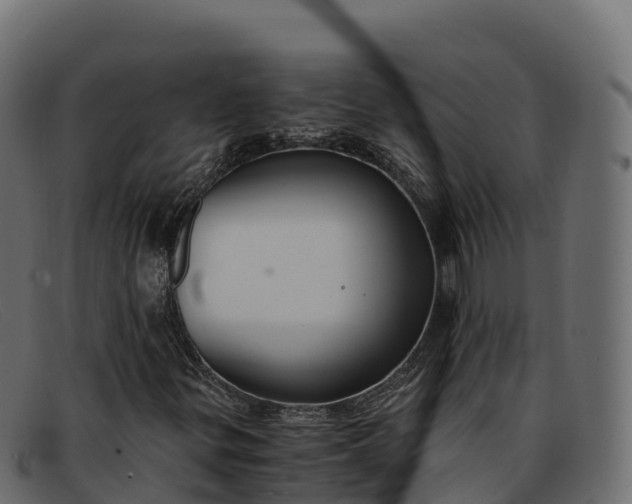 X0000091941299200709191412