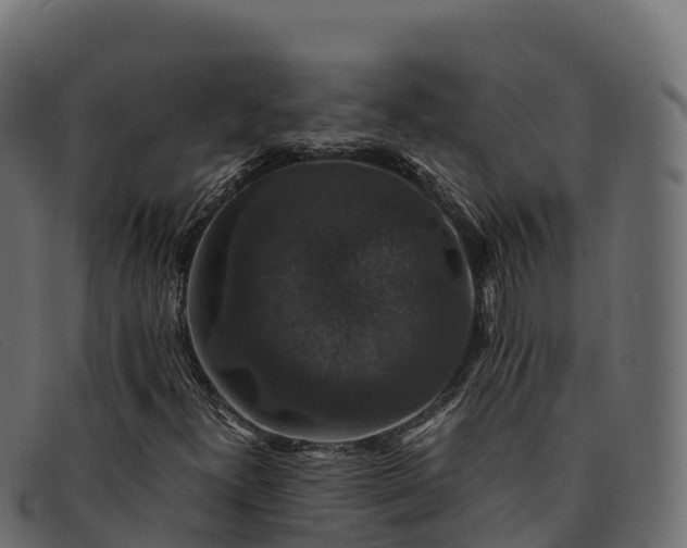 X0000091941300200709191412