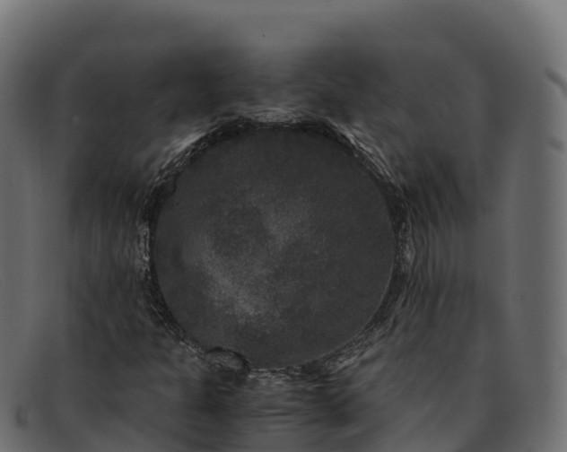 X0000091941301200709191412