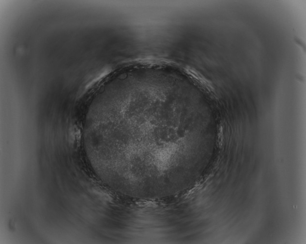 X0000091941302200709191412