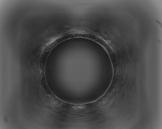 X0000091941303200709191412