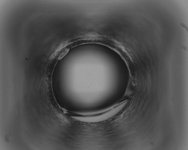 X0000091941304200709191412