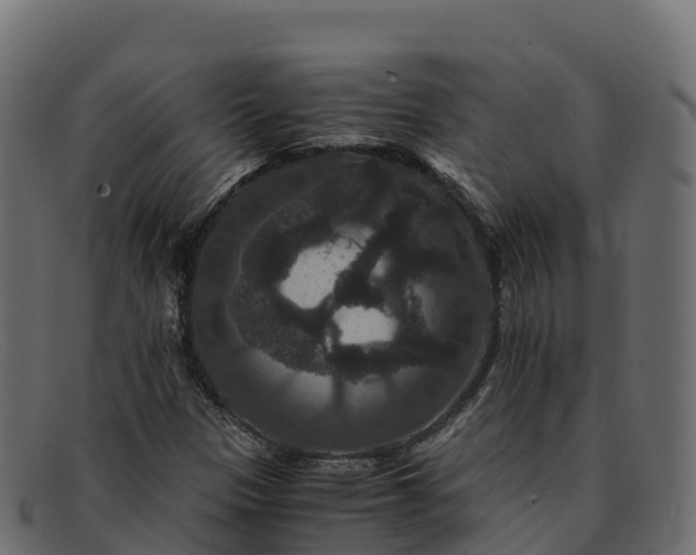 X0000091941305200709191412