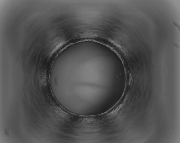 X0000091941306200709191412